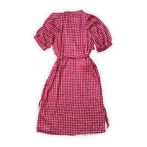 ANN TAYLOR | PINK GINGHAM BELTED SHIRTDRESS SHORT SLEEVE | PETITE SMALL | EUC - Picture 2 of 5